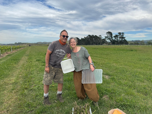 Asparagus- grown right here in Te Matau-a-Māui