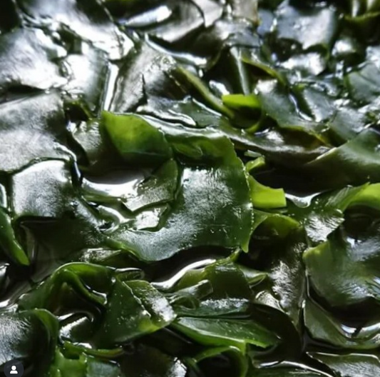 Wakame Salad recipes- Japanese Cucumber Seaweed salad!
