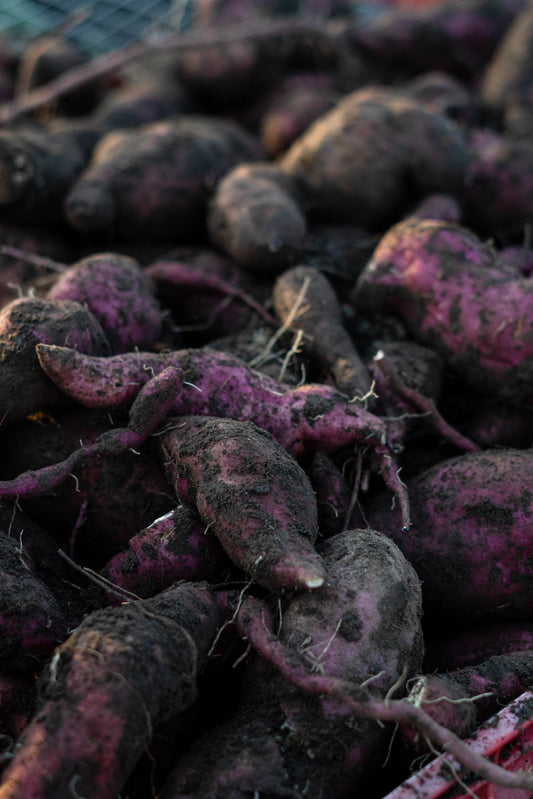 Kai Whakaora : An indigenous food economy